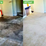 Most Effective Carpet Cleaning D.I.Y. Tips in Murrieta Carpet Cleaners